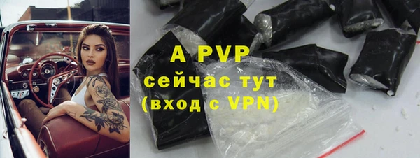 индика Аркадак