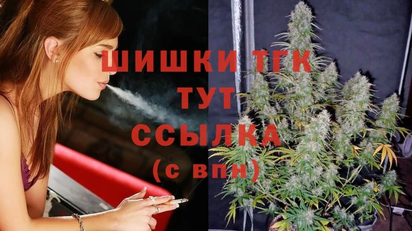 индика Аркадак