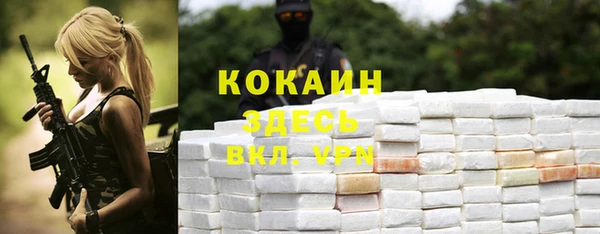 PSILOCYBIN Балабаново
