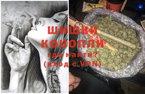 PSILOCYBIN Балабаново