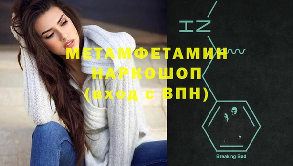 индика Аркадак