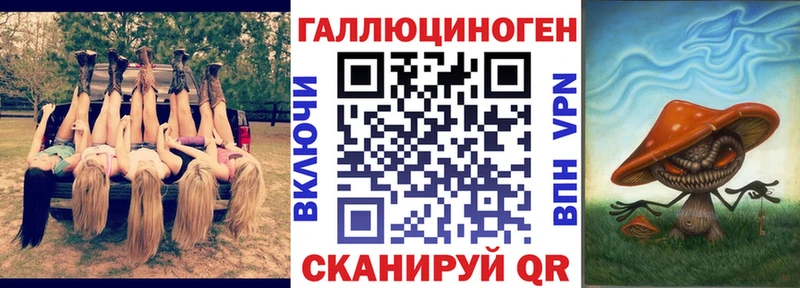 Псилоцибиновые грибы Psilocybe Мариинский Посад