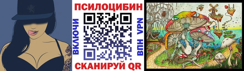 наркошоп  Мариинский Посад  Галлюциногенные грибы Cubensis 